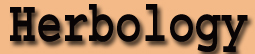 Infertility Chicago Acupuncture